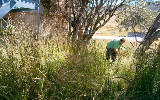 Windarra Lodge 2011